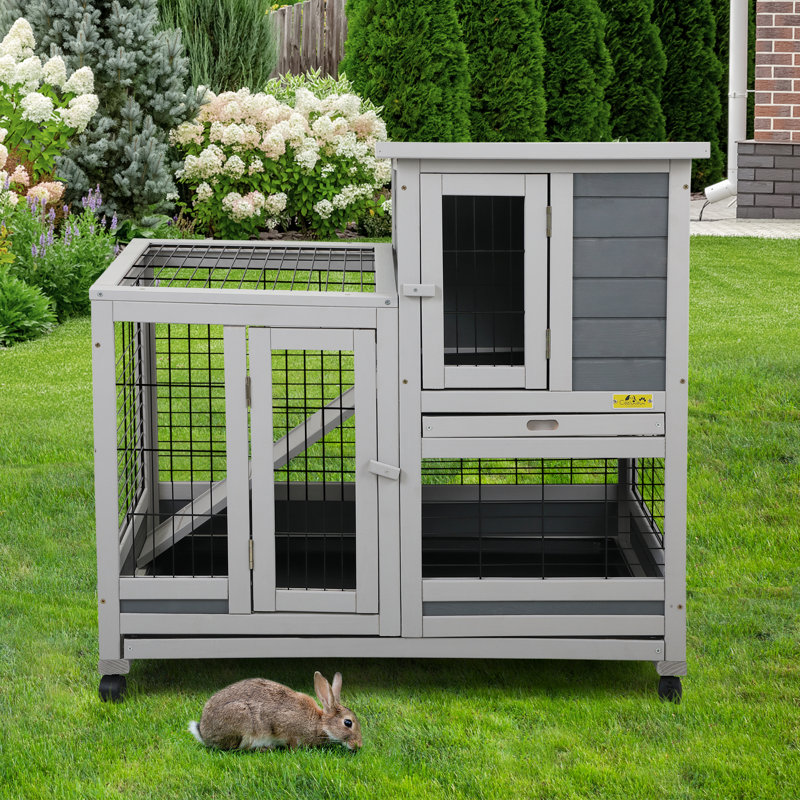 Tucker Murphy Pet Ciara Lee 2 Story Wooden Rabbit Hutch with 4 Wheels Reviews Wayfair